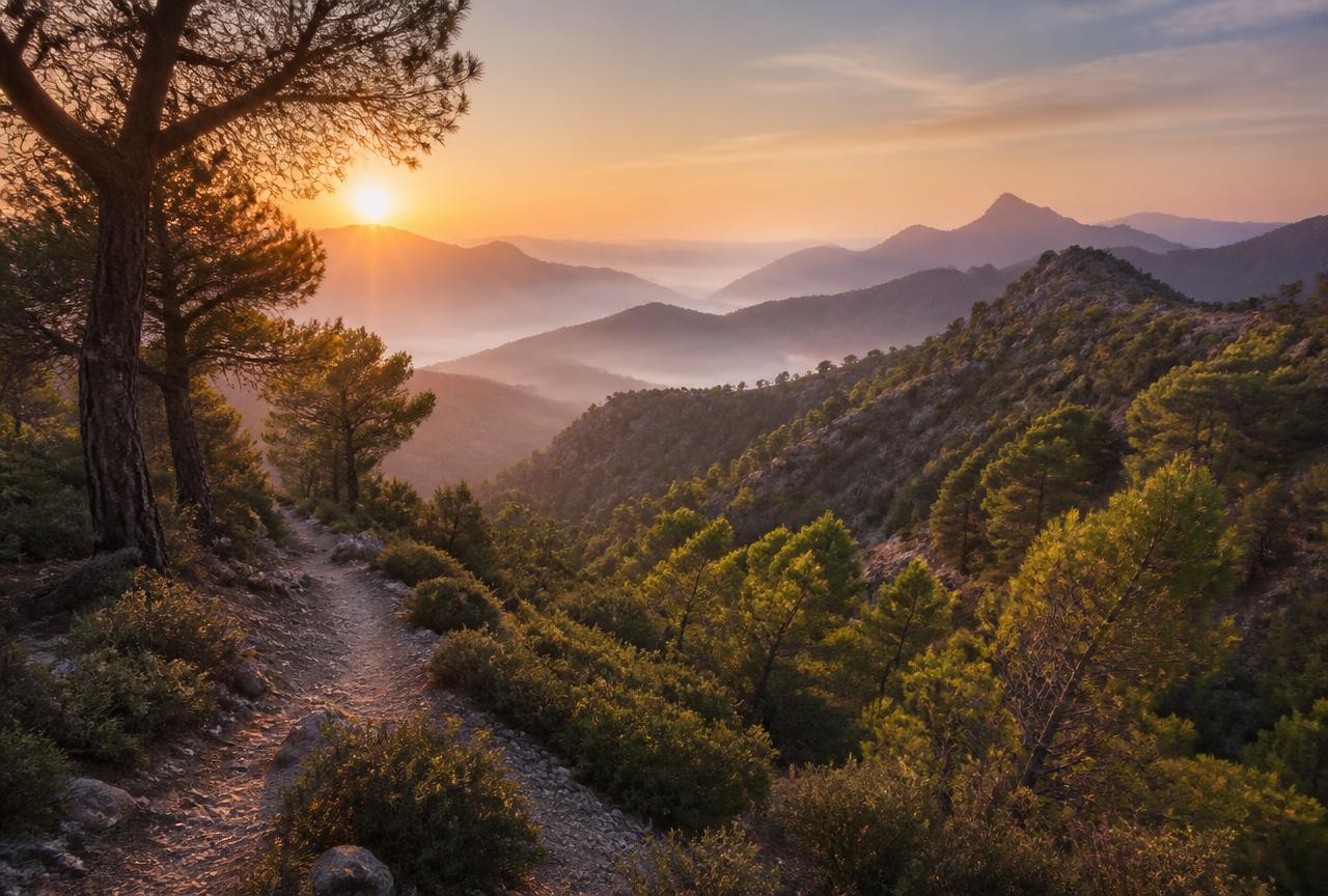 Sierra Espuña estrena 60 km de senderos señalizados con acceso desde Totana